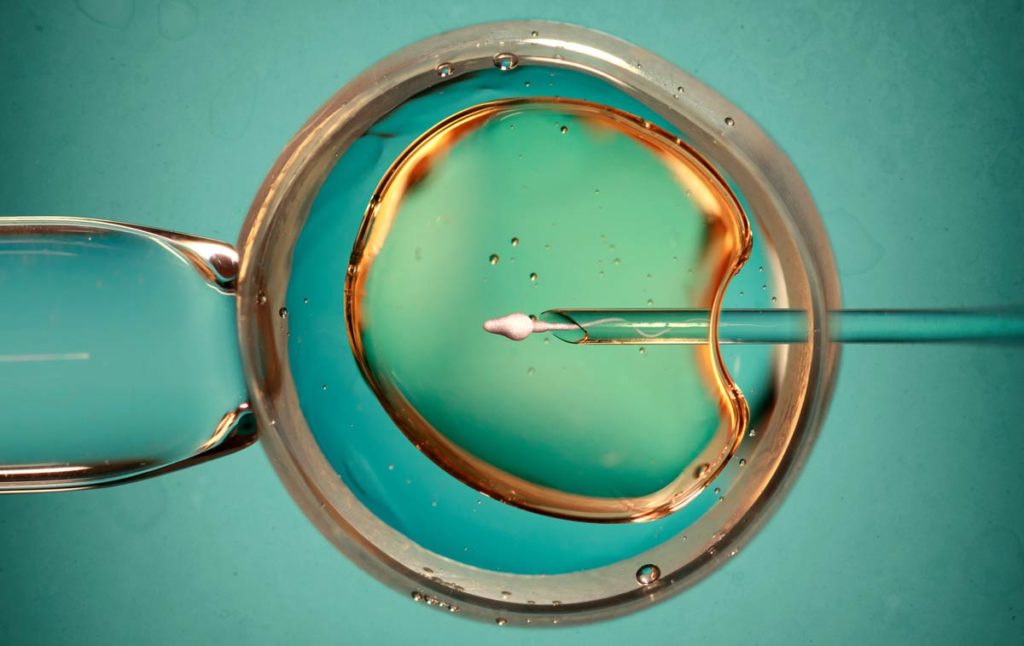 los angeles fertility clinic sued over mix up with embryo